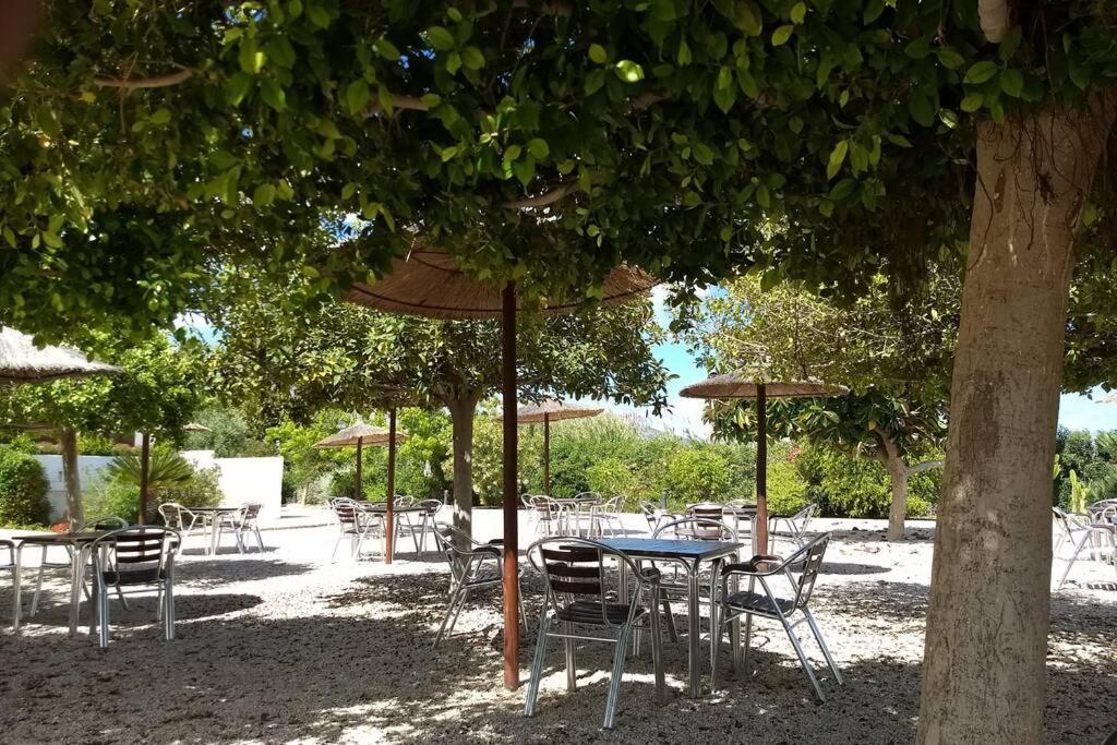 Beachfront Apt! Ac - Pool - Parking Apartment Altea Bagian luar foto